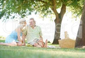 Keeping our love alive. A smiling husband and wife enjoying a leisurely picnic in the park.