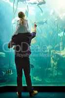 Discovering a whole new world of wonder. Shot of a father and his little daughter looking at an exhibit in an aquarium.