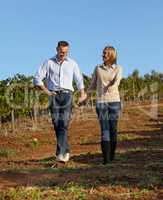 Enjoying a stroll through the vineyards. A mature wine maker and his wife taking a stroll through the vineyard.