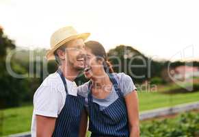 Having a blast working together. Cropped shot of an affectionate young couple laughing while working on their privately owned farm.