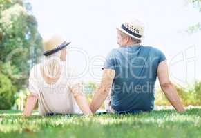 Bliss in the sunshine together. Rear view of a mature couple looking at each other while sitting on the grass.