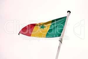 The flag of Senegal. Shot of the Senegalese flag blowing in the wind.