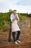Taking a quick break. A mature wine maker taking a break and smoking a pipe in the vineyard.