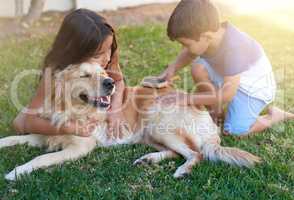 Pamper time for their pooch. Shot of a little boy and his sister brushing their dogs coat in the backyard at home.