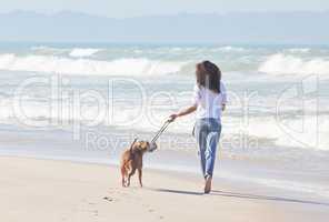 Sandy paws, happy hearts. Shot of a woman playing with her pit bull at the beach.