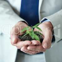 Big things sometimes have the smallest beginnings. Cropped shot of a businessman holding a small plant growing in soil.