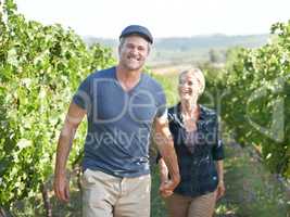 Walking through the vines together. A content mature couple strolling through a vineyard together.