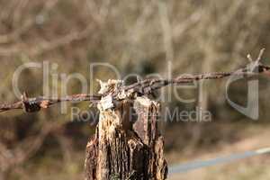 Fragment of an old fence with rusty barbed wire