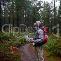 Explore your local surrounds. Shot of a man in a pine forest with a map, figuring out his orientation.