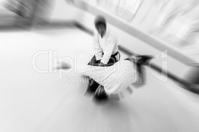 People practicing aikido in a dojo background.