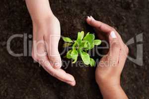 Plant for a better future. Shot of two unrecognizable people holding their hands around a plant.
