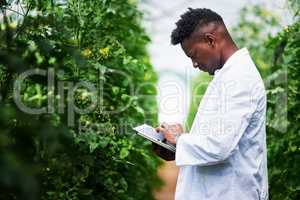Quickly getting more info about this plant online. Shot of a handsome young botanist using a digital tablet while working outdoors in nature.