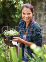 Getting ready to grow. Portrait of an attractive young woman holding a punnet of seedlings.
