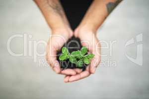 Nurturing hope for tomorrow. Cropped shot of an unidentifiable businesswomans hands holding a small seedling.