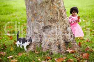 Hide and seek. Kitten hiding behind a tree and looking for its young owner.