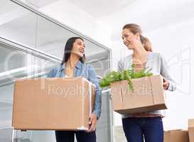 I think having plants in the office was a great idea. Two female entrepreneurs moving into a new office.