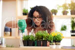 Potting with care. Cropped shot of an attractive young female botanist potting plants while working in her florist.