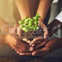 We all need to play our part in nurturing nature. Closeup shot of a group of unrecognizable people holding a plant growing out of soil.