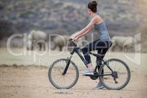 Enjoying untamed Africa. Shot of a young woman on a bicycle looking at a group of rhinos in the veld.