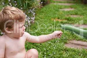 Enjoying every sensation - Childhood development. Cute toddler fascinated by a watering can in the garden.