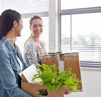 Adding color to the office. Shot of two female entrepreneurs carrying boxes into their new office.