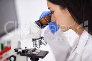 Shes a professional at blood-work. Profile of a female scientist viewing a sample through a microscope.