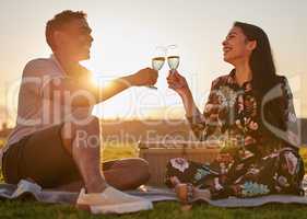 I love you for all that you are. Shot of a young couple making a toast while on a picnic at a lakeside.