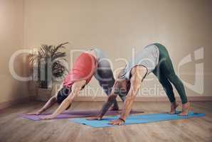 Stretching the hamstrings. Full length shot of two unrecognizable yogis holding a downward facing dog during an indoor yoga session.