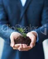 The start to new successes. Cropped shot of a businessman holding a plant growing in soil.