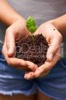 Nurturing the environment. Cropped shot of a young womans hands holding soil sprouting new plants.