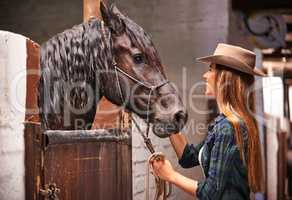 Would you like a pat. An attractive young cowgirl bonding with her horse in the stable.