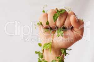 Stand up for nature. Cropped shot of an unidentifiable womans hand clenching flowers in a fist in studio.