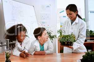 Lets check in with our little test study. Shot of an adorable little boy and girl learning about plants with their teacher at school.