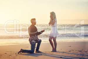 Please say that youll be my wife. Shot of a young man proposing to his girlfriend on the beach.