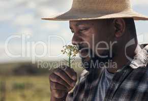 Turns out, happiness does have a smell. Shot of a mature man spelling a freely picked crop while working on a farm.