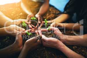 Sustainable growth is of utmost importance. Closeup shot of a group of unrecognizable people holding plants growing out of soil.