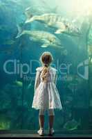I wish I was a mermaid swimming under the sea. Shot of a little girl looking at an exhibit in an aquarium.