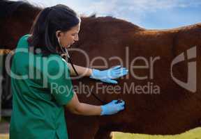 Veterinarians have long been considered the guardians of animal welfare. Shot of a young veterinarian doing a checkup on a horse on a farm.