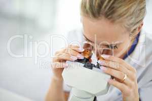 Theres a hidden world inside every organism.... Shot of a beautiful woman in a laboratory working with a microscope.