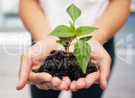 Watching nature bloom is beautiful. Shot of an anonymous person holding a plant seedling to be planted.