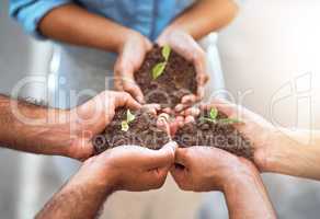 Nurture the talents of your team. Closeup shot of a group of people holding plants growing in soil.