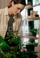 Working with plants is so rewarding and therapeutic. Shot of an attractive young florist potting plants inside her store.