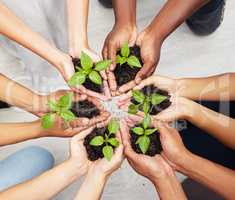 Getting our hands dirty to help nature flourish. Shot of a diverse group of people holding seedlings to be planted.