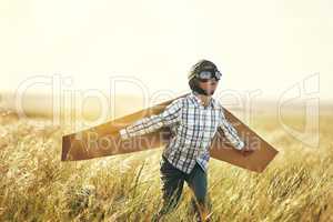 Ready to fly. Shot of a young boy pretending to fly with a pair of cardboard wings in an open field.