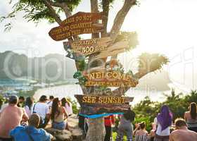 Take a seat and watch the sunset. Cropped shot of signage on a tree at a tourist attraction.