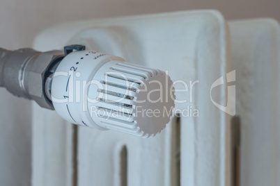 Home thermostatic radiator valve.