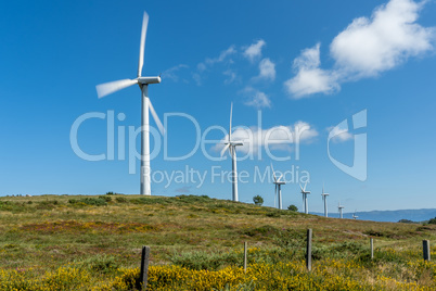 View of wind turbines energy production near the Atlantic Ocean, Spain.