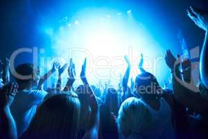 Adoring fans. Rear view of a crowd dancing at a music concert- This concert was created for the sole purpose of this photo shoot, featuring 300 models and 3 live bands. All people in this shoot are model released.