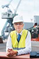 I'm satisfied with my career.. A portrait of a customs worker standing in the shipyard.