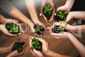 Protecting the earth one plant at a time. Cropped shot of a group of people holding plants growing out of soil.